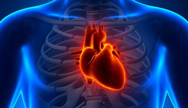 shutterstock_134397698-scaled