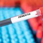 Dementia.,Dementia,Disease,Blood,Test,In,Doctor,Hand