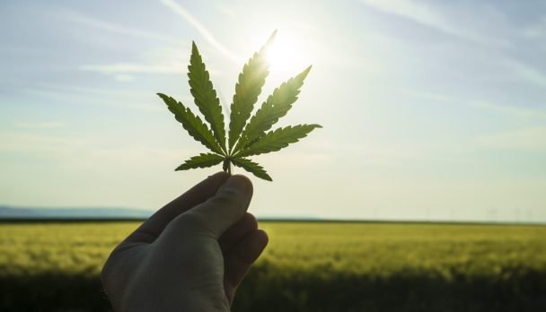 shutterstock_666477832