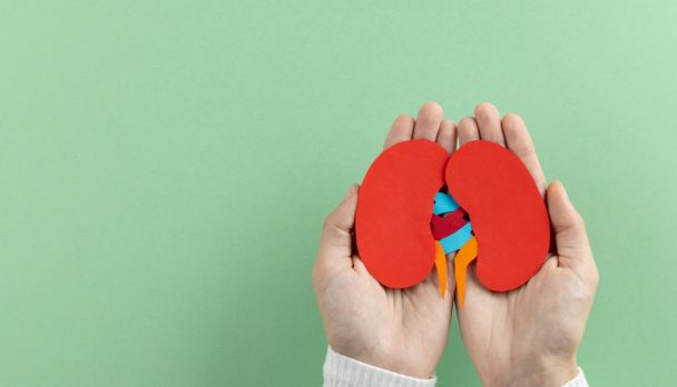 Composition,Of,Hands,Holding,Kidneys,On,Green,Background,With,Copy